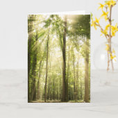 木の上を通る日光 カード (黄色い花)