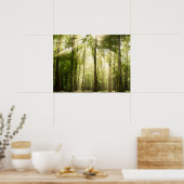 木の上を通る日光 ポスター (キッチン)