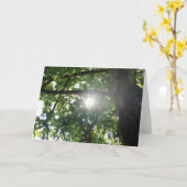 木の上 カード (黄色い花)