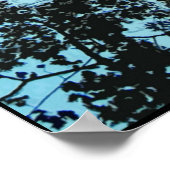 木の上 ポスター (角)