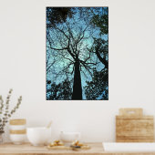 木の上 ポスター (キッチン)