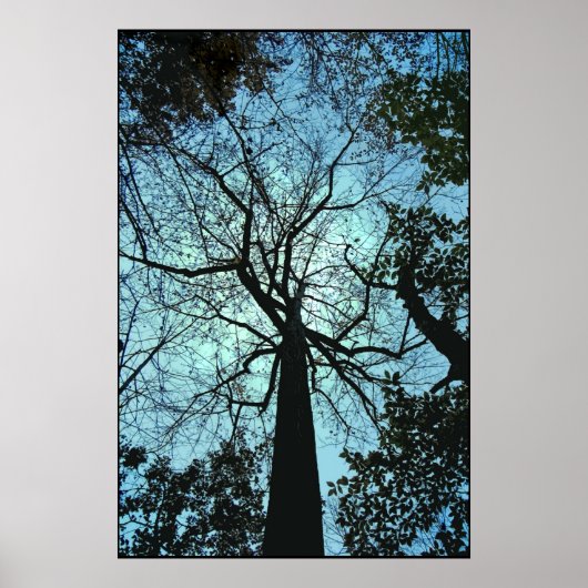 木の上 ポスター (正面)