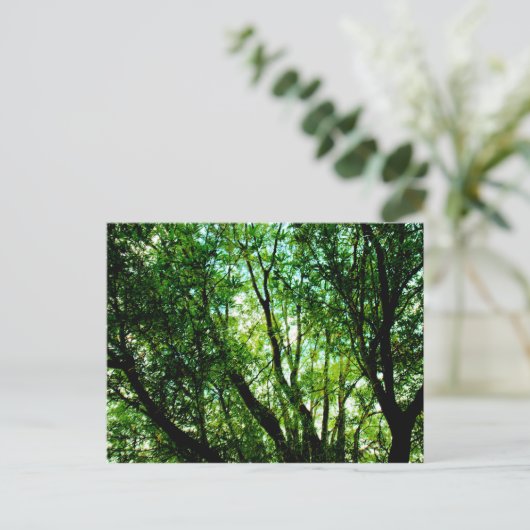 木の上 ポストカード (スタンド正面)