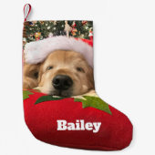 木の下で眠ったクリスマスのゴールデン・リトリーバー犬 スモールクリスマスストッキング (正面)