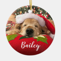 木の下で眠ったクリスマスのゴールデン・リトリーバー犬