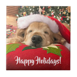 木の下で眠ったクリスマスのゴールデン・リトリーバー犬 タイル