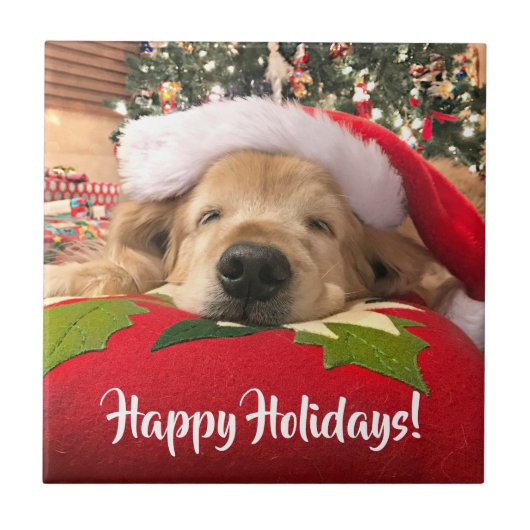 木の下で眠ったクリスマスのゴールデン・リトリーバー犬 タイル (正面)