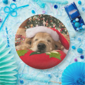 木の下で眠ったクリスマスのゴールデン・リトリーバー犬 ペーパープレート (パーティー)
