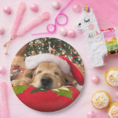 木の下で眠ったクリスマスのゴールデン・リトリーバー犬 ペーパープレート (パーティー)
