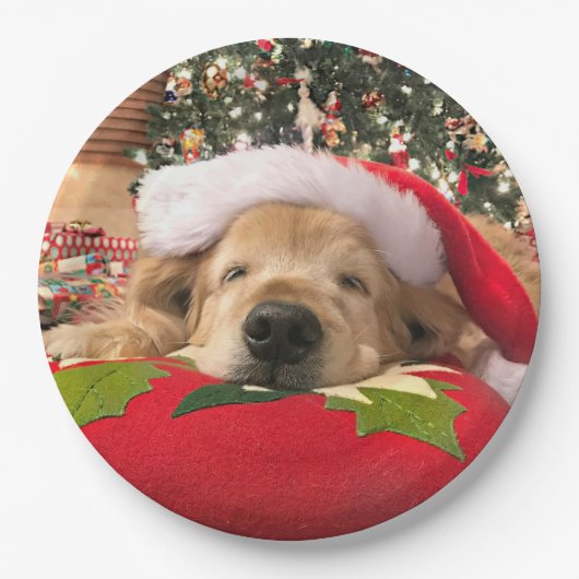 木の下で眠ったクリスマスのゴールデン・リトリーバー犬 ペーパープレート (正面)
