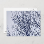 木の下で飢え死にする ポストカード (正面/裏面)