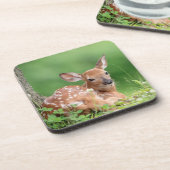 木の下に横たわる愛らしい子鹿 コースター (左側)