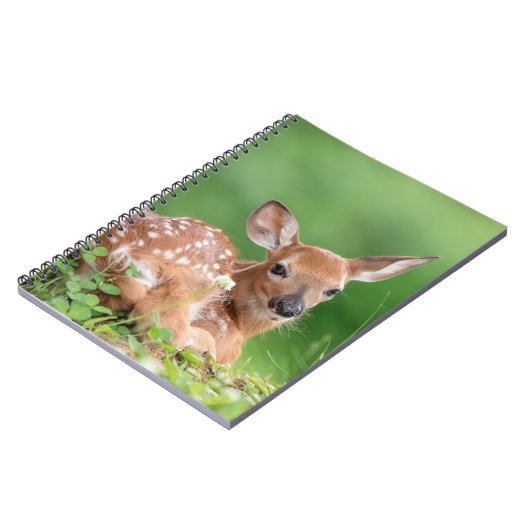 木の下に横たわる愛らしい子鹿 ノートブック (左側)