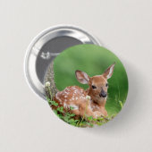 木の下に横たわる愛らしい子鹿 缶バッジ (正面&裏面)