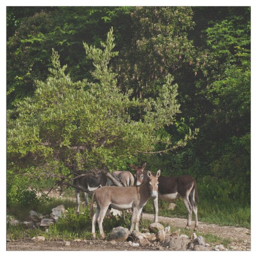 木の下のろば ファブリック (見本)