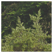 木の下のろば ファブリック (クローズアップ)