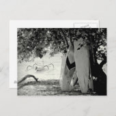 木の下のサーフボード ポストカード (正面/裏面)