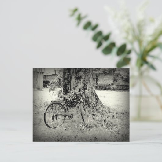 木の下のバイクイル ポストカード (スタンド正面)