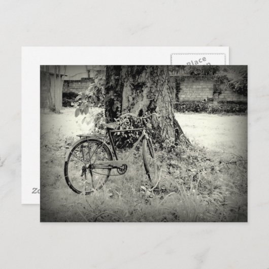 木の下のバイクイル ポストカード (正面/裏面)