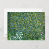 木の下のバラかわいい ポストカード (正面/裏面)