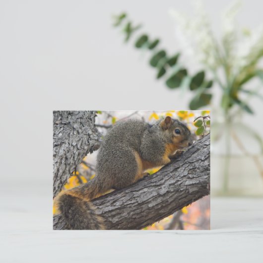 木の下のリス ポストカード (スタンド正面)