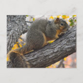 木の下のリス ポストカード (正面)