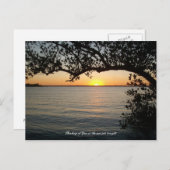 木の下の夕日 ポストカード (正面/裏面)