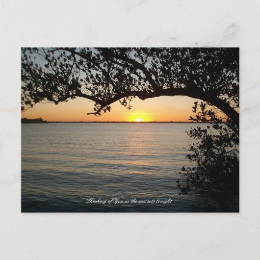 木の下の夕日 ポストカード (正面)