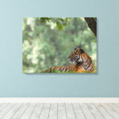 木の下をうろつく虎 キャンバスプリント (インサイチュ (ウッドフロア))