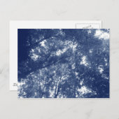 木の中でアップ – シアノタイプ効果 ポストカード (正面/裏面)