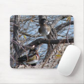木の中でアヒル マウスパッド (マウス)