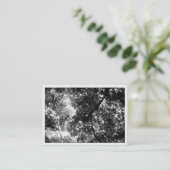 木の中でミニフォト(白縁ど) 名刺 (スタンド正面)