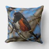 木の中で斑点のあるトウヒの雀の鳴き鳥 クッション (正面)