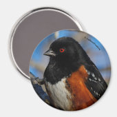 木の中で斑点のあるトホエ マグネット (正面/裏面)