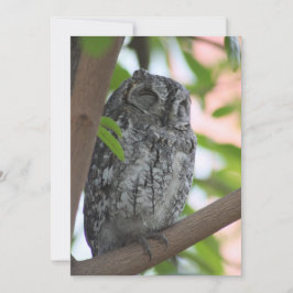 木の中で眠っているアフリカのコノハズク サンキューカード