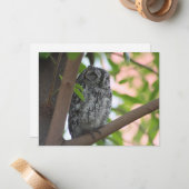木の中で眠っているアフリカのコノハズク ノートカード (正面/裏面インサイチュ)