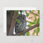 木の中で眠っているアフリカのコノハズク ノートカード (正面/裏面)