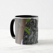 木の中で眠っているアフリカのコノハズク マグカップ (正面左)