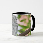 木の中で眠っているアフリカのコノハズク マグカップ (正面右)