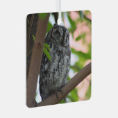 木の中で眠っているアフリカのコノハズク メタルオーナメント (正面右)