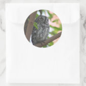 木の中で眠っているアフリカのコノハズク ラウンドシール (バッグ)