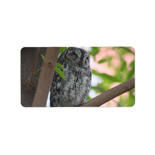 木の中で眠っているアフリカのコノハズク ラベル (正面)