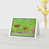 木の中で眠っている人間 カード (黄色い花)