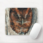 木の中で眠るフクロウ マウスパッド (マウス)