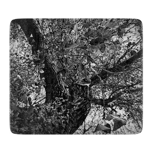 木の中で見つけろ カッティングボード (正面)