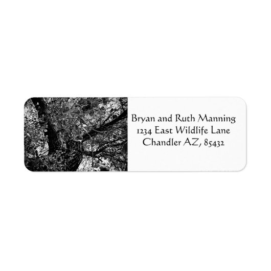 木の中で見つけろ ラベル (正面)