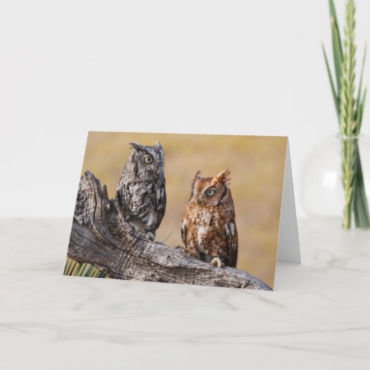 木の中で鶏を鳴らす東の悲鳴 カード (正面)