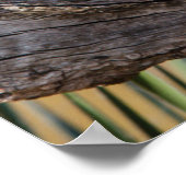 木の中で鶏を鳴らす東の悲鳴 ポスター (角)