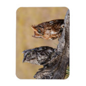 木の中で鶏を鳴らす東の悲鳴 マグネット (縦)