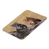 木の中で鶏を鳴らす東の悲鳴 マグネット (左側)